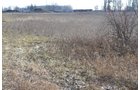 Property photo 16 - East Allen County - 55 Acre Land Auction